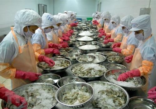 Giá nhiều loại thủy sản ở Trà Vinh tăng cao, người dân phấn khởi