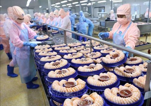 Củng cố năng lực cạnh tranh cho tôm Việt