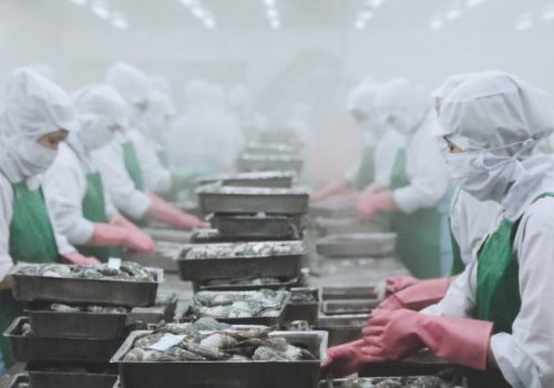 Ước tình 300.000 lao động tại các nhà máy thủy sản mất việc