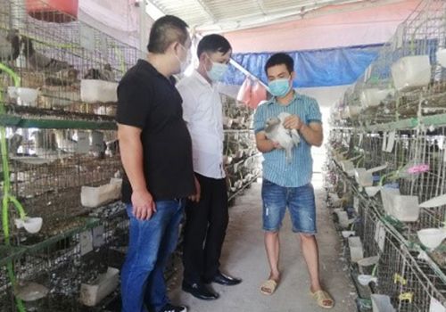 Chăn nuôi an toàn để xây dựng thương hiệu