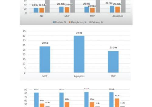 Chọn đúng nguồn phốt pho cho tôm