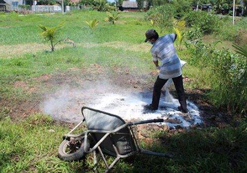 Long An: Kiểm soát, ngăn ngừa bệnh viêm da nổi cục trên trâu, bò