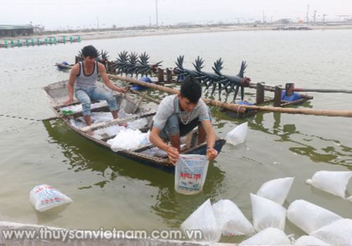 Chủ động phòng bệnh vụ mới