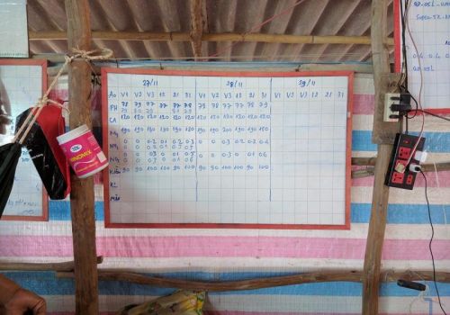 Cách tiết kiệm chi phí nuôi tôm trong nhà kính hiệu quả nhất