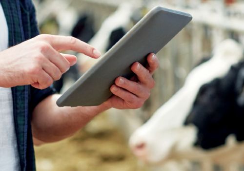 Nga bùng nổ công nghệ thông minh trong ngành sữa