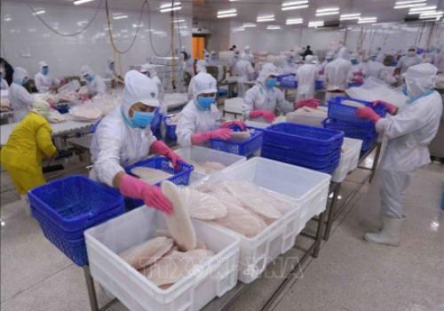 Lách khe hẹp xuất khẩu thủy sản tiếp tục mở cửa thị trường