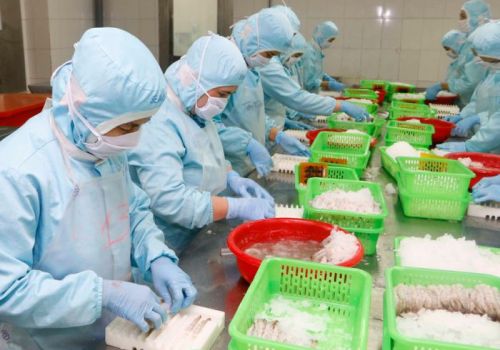 Công suất chế biến thủy sản tụt 30-40% do giãn cách