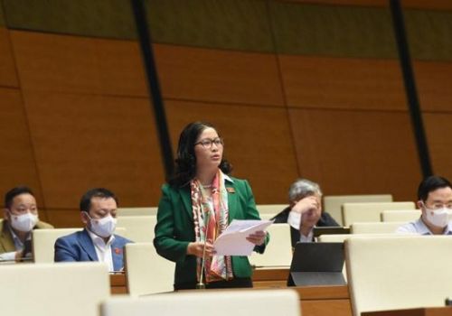 Luật Đất đai ‘bỏ quên’ đất cho chăn nuôi