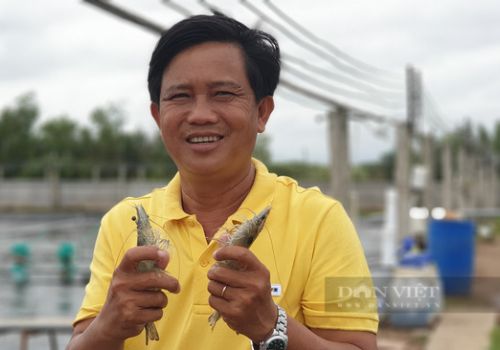 Xây “khách sạn 5 sao” để nuôi tôm công nghệ cao, một ông nông dân tỉnh Bến Tre thành tỷ phú