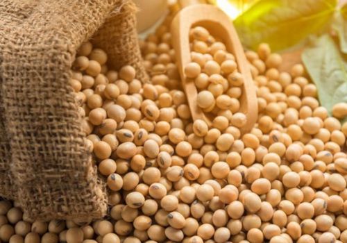 Thị trường nhập khẩu đậu tương 3 tháng đầu năm 2022