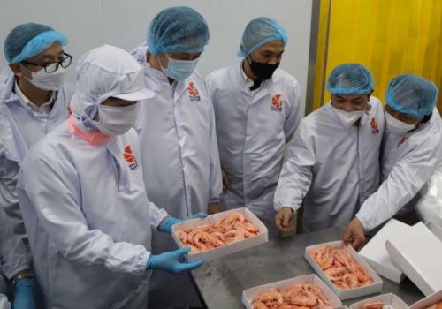 Phát triển con tôm trở thành đối tượng nuôi chủ lực của ngành thuỷ sản