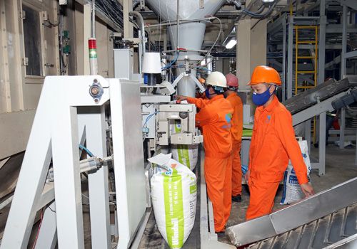 Kìm giá thức ăn chăn nuôi tăng nhanh