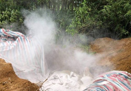 Tái bùng phát dịch tả heo châu Phi ở Nghi Xuân, Hà Tĩnh