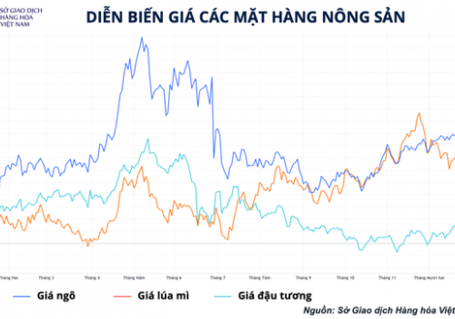 Ngành chăn nuôi nội địa vẫn ở thế khó vào quý I/2022