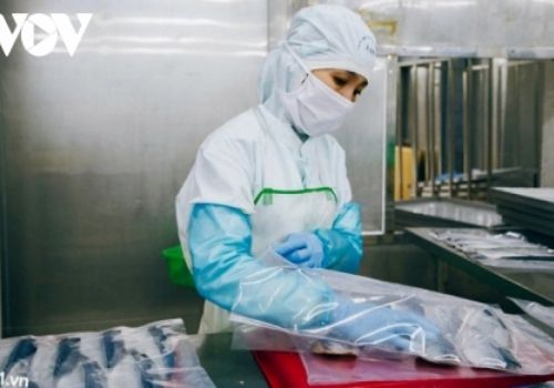 Nhiều doanh nghiệp chế biến thuỷ sản ở Bà Rịa – Vũng Tàu kiệt quệ vì dịch bệnh