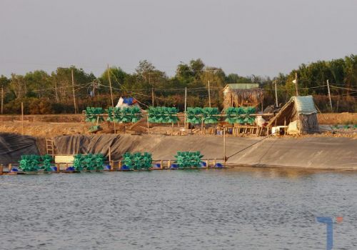 Cacbon và bí kíp kiểm soát độ kiềm hiệu quả trong ao tôm