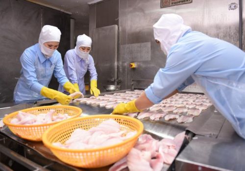 Một năm lao đao của các doanh nghiệp thủy sản phía Nam vì chi phí logistics, giãn cách xã hội