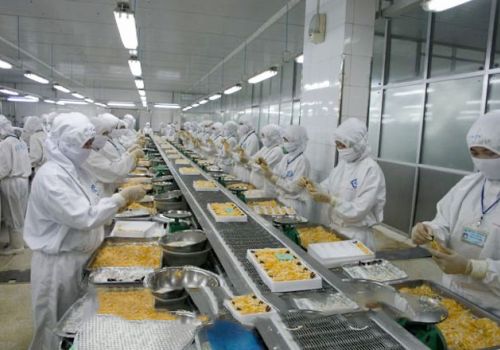 Lợi thế và cơ hội của tôm Việt