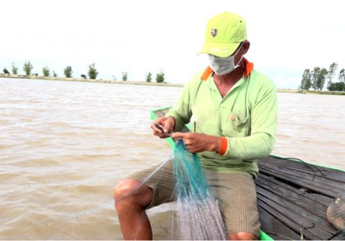 Đồng Tháp: Người dân đầu nguồn phấn khởi ra đồng đánh bắt thủy sản