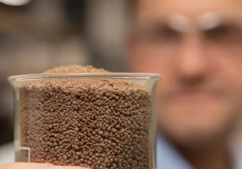 Tương lai của ngành thức ăn cho tôm nuôi