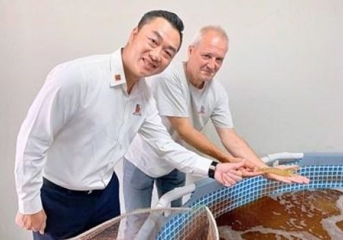 Mô hình nuôi tôm nhà kính – Công nghệ sạch, năng suất cao