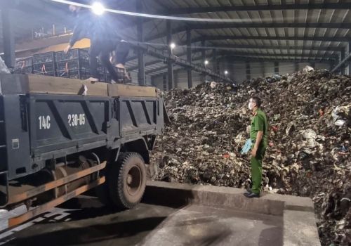 Quảng Ninh: Bắt giữ và tiêu hủy gần 36.000 con giống gia cầm nhập lậu