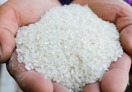 Nhu cầu dùng gạo làm thức ăn chăn nuôi ở châu Á tăng mạnh