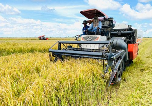 Ngành nông nghiệp xuất khẩu gần 50 tỉ USD