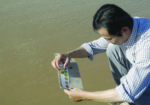 Cách gây màu nước trong ao nuôi tôm