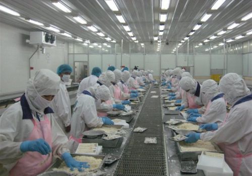 Tôm Việt Nam bán sang Mỹ cao hơn Ấn Độ và Ecuador 3-4 đô la Mỹ/kg