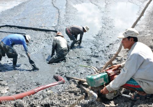 Giải pháp kiểm soát virus trong ao nuôi