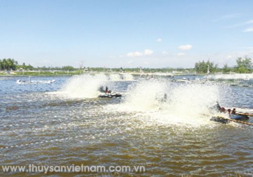 Giải pháp nâng cao chất lượng nước