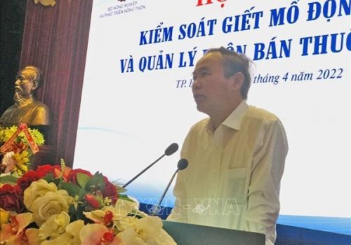 Tăng cường quản lý buôn bán thuốc thú y và kiểm soát giết mổ động vật