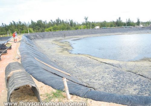 Thiết kế hệ thống nuôi tôm trên cát