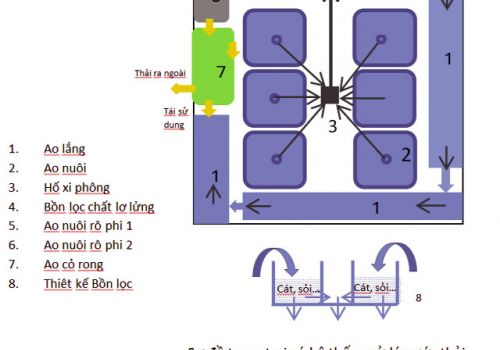 Thiết kế và vận hành hệ thống xử lý nước thải trong hệ thống trang trại tôm
