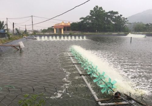 Thanh Hóa: Phát triển nuôi trồng thủy sản ở xã Hoằng Phụ