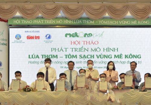 Hội thảo phát triển mô hình lúa thơm – tôm sạch vùng Mê-Kông
