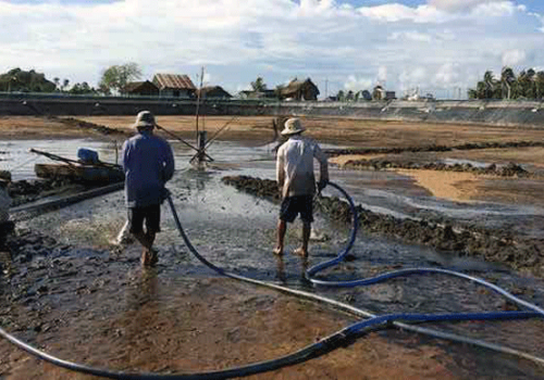 Quản lý chất thải ao tôm