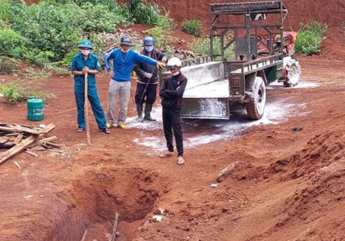 Đắk Lắk: Dịch tả lợn Châu Phi tái bùng phát