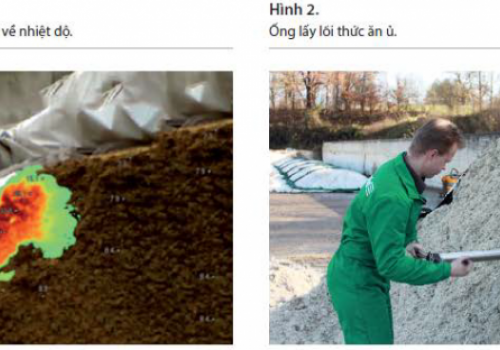 Đảm bảo chất lượng thức ăn ủ chua tuyệt hảo