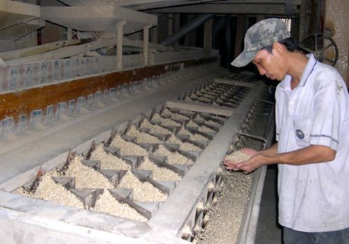 Giá cám gạo và tấm tăng kỷ lục vì xung đột Nga – Ukraine