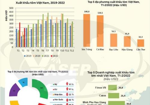 Infographic: Xuất khẩu tôm Việt Nam tháng 2/2022