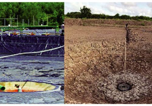 Giải quyết khí độc trong ao tôm