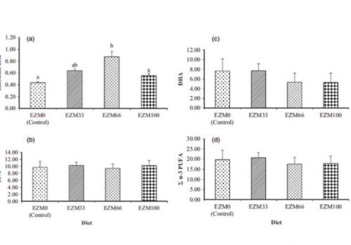 Khô đậu cải tiến trong khẩu phần ăn của tôm