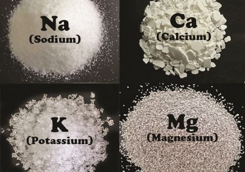 Có nên thêm kali và magiê vào nước ao nuôi tôm?