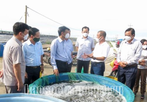 Chia sẻ của hộ nuôi tôm trong thời điểm dịch bệnh Covid-19