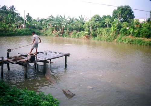 Kiểm soát dịch bệnh thủy sản dài hạn