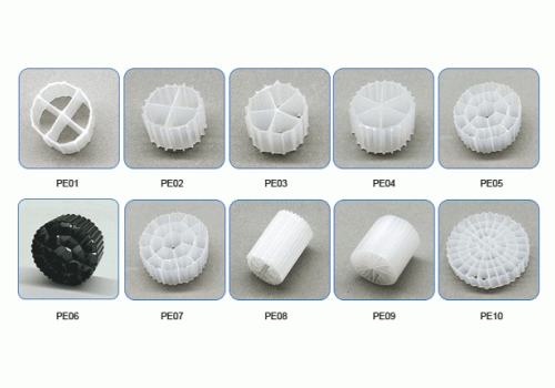 Probiotics mới kiểm soát hiệu quả NH3 và NO2 trong ao tôm