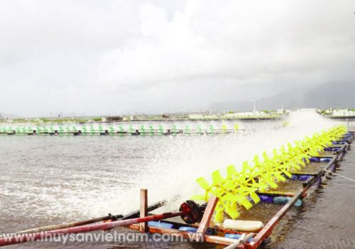 Kiểm soát tốt chất thải để đảm bảo chất lượng nước