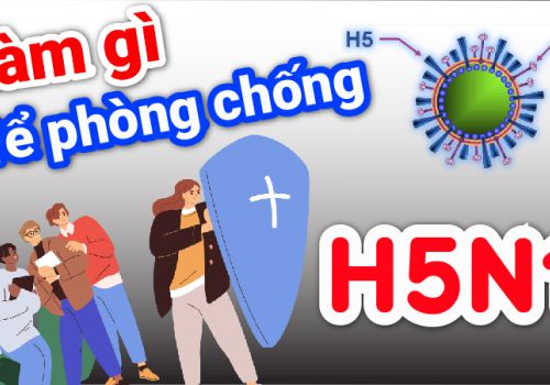 Làm gì để phòng chống cúm A H5N1?